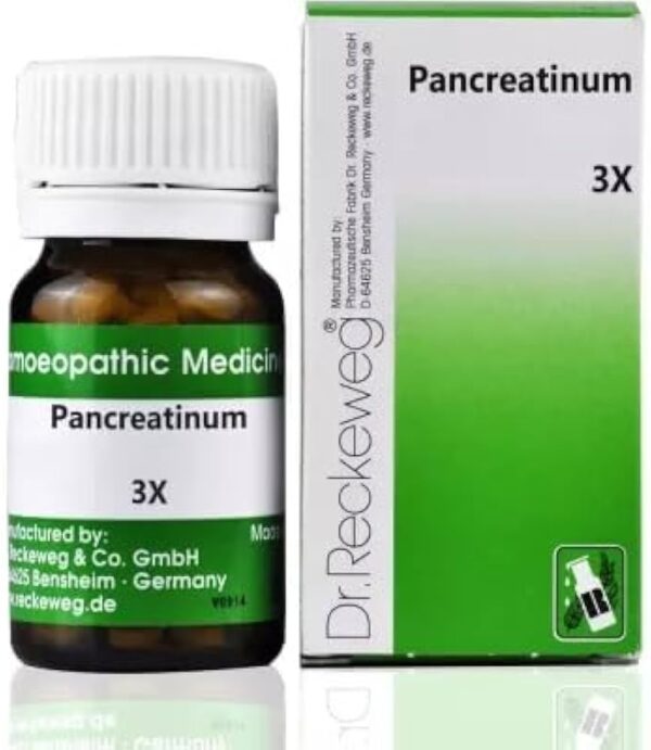 Dr. Reckeweg Pancreatinum 3X Tablet