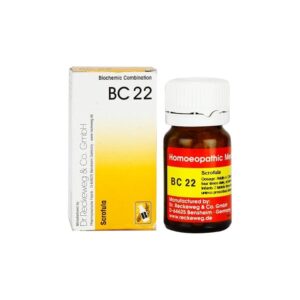 Dr. Reckeweg BC 22