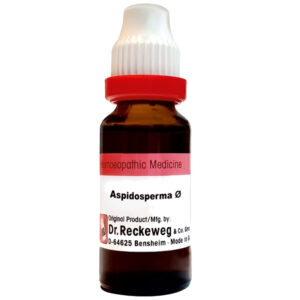 Dr. Reckeweg Aspidosperma Q