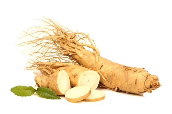 GP Ginseng Q Syrup